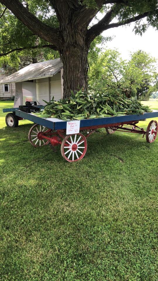 Sweet Corn Wagon